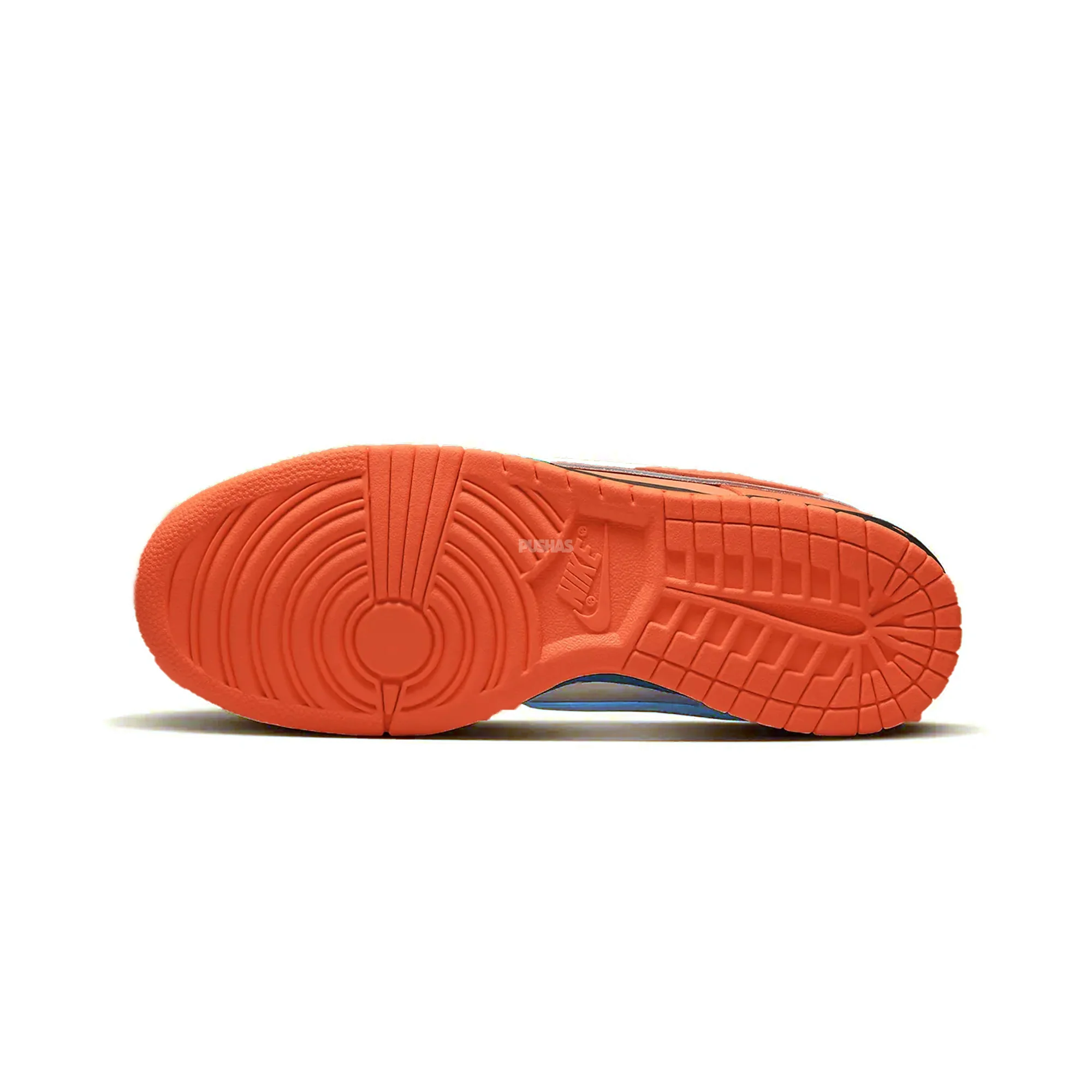 Nike SB Dunk Low 'Concepts Orange Lobster' (Special Box) (2022) - Image 6